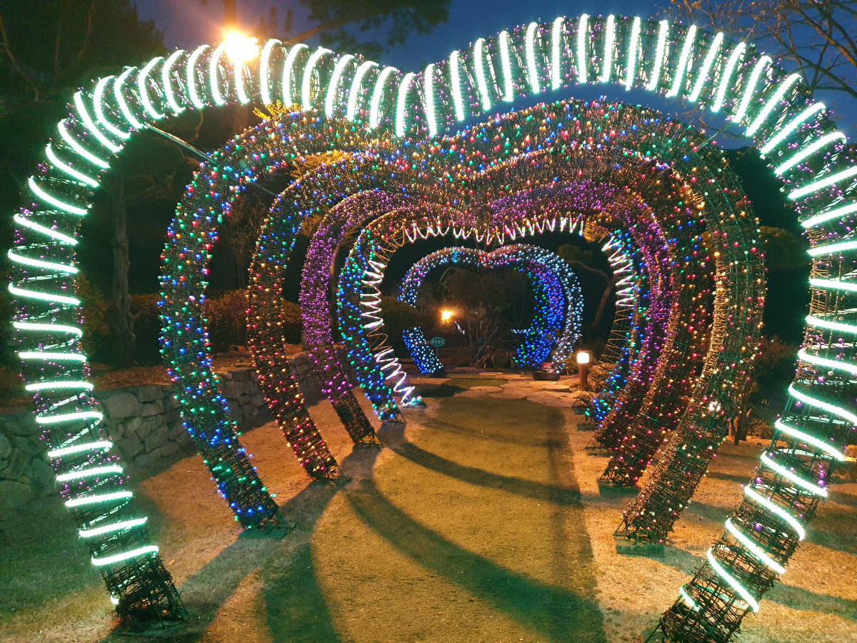 fc88f3ac4a53249c71cc9b06d051408e_1641195078_175.jpg